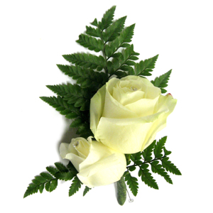 Button Hole Roses