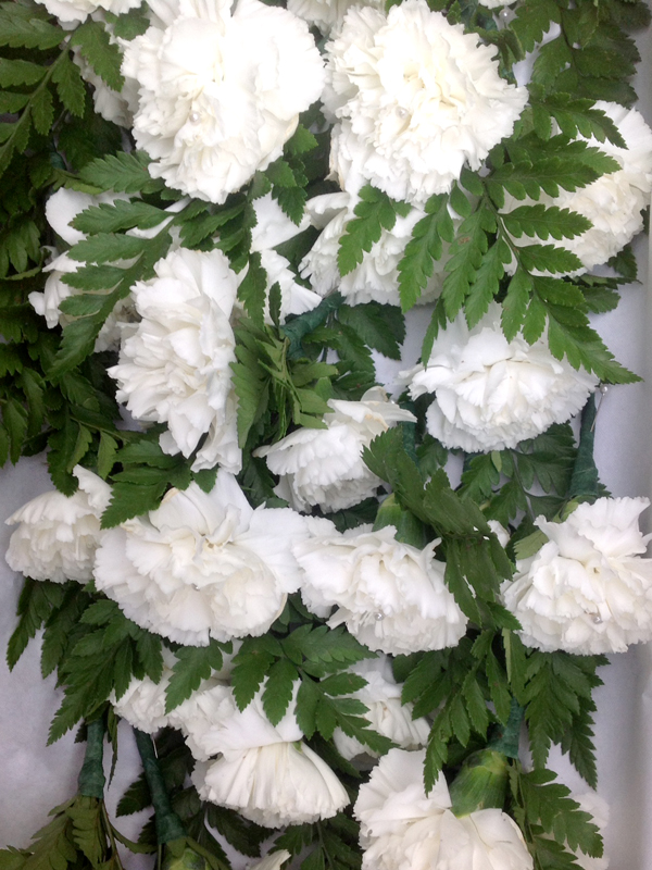 Bridal Flowers | Buttonhole Rose