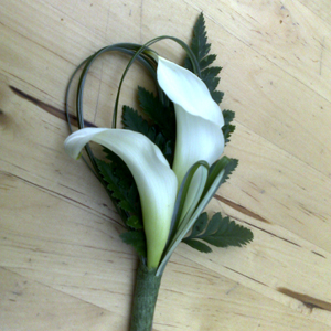 Buttonhole Lily
