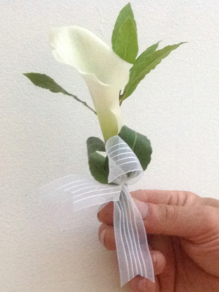 Buttonhole Lily