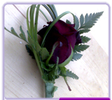 Buttonhole Rose