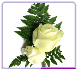 Double Buttonhole Roses