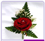 Buttonhole Rose