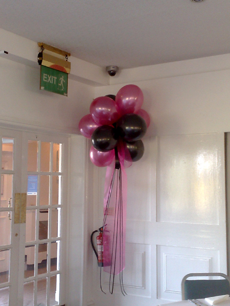 Hall Decoration | Cluster of 10 Balloons